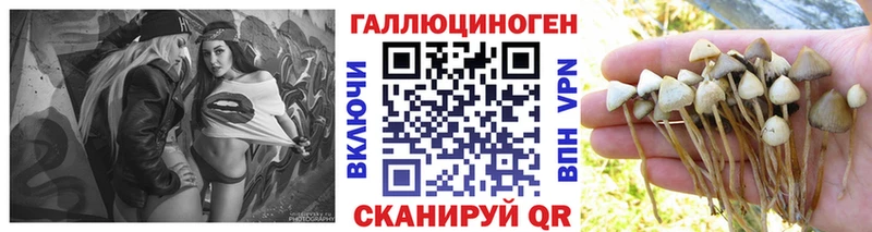 Псилоцибиновые грибы мицелий  мориарти официальный сайт  Троицк 